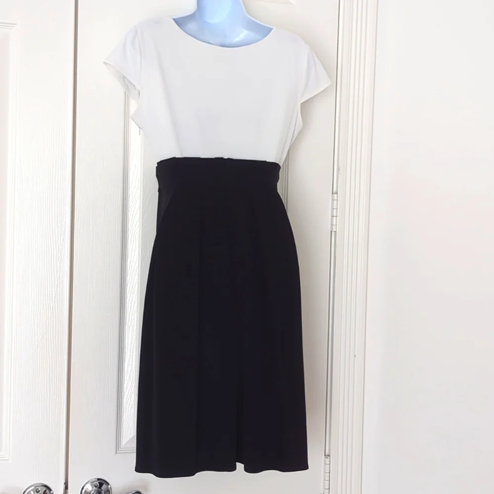 Van Heusen Black and White dress